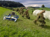 Klick für Grosses Bild